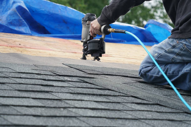 Best Commercial Roofing Services  in Ferry Pass, FL